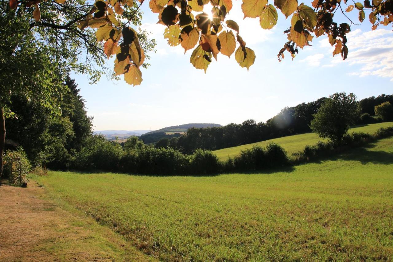 Ferienwohnung Naturfreund Lügde Buitenkant foto